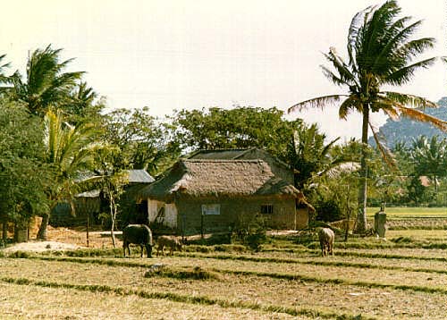 Kết quả hình ảnh cho chiều quê